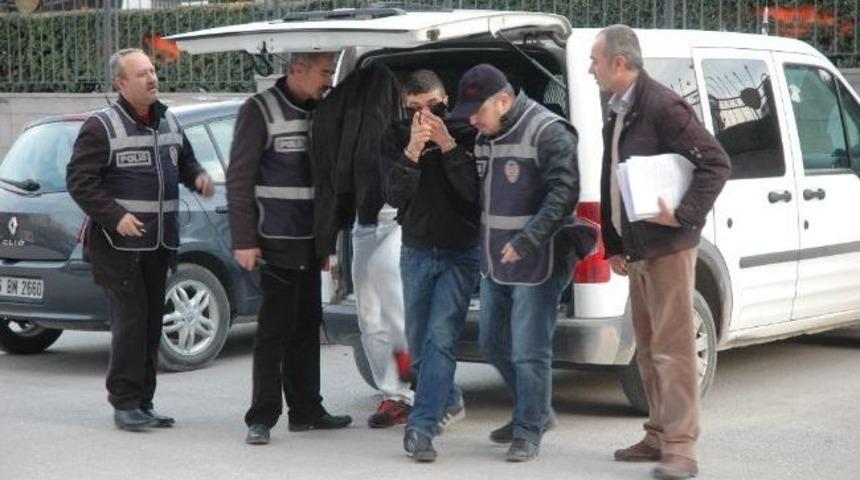 Navigasyon Fareleri Yakalandı