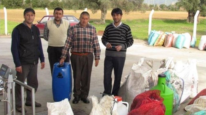 &Ouml;demiş Tariş, Zeytinyağında Bin 100 Ton İşleme Hedefini Tutturdu