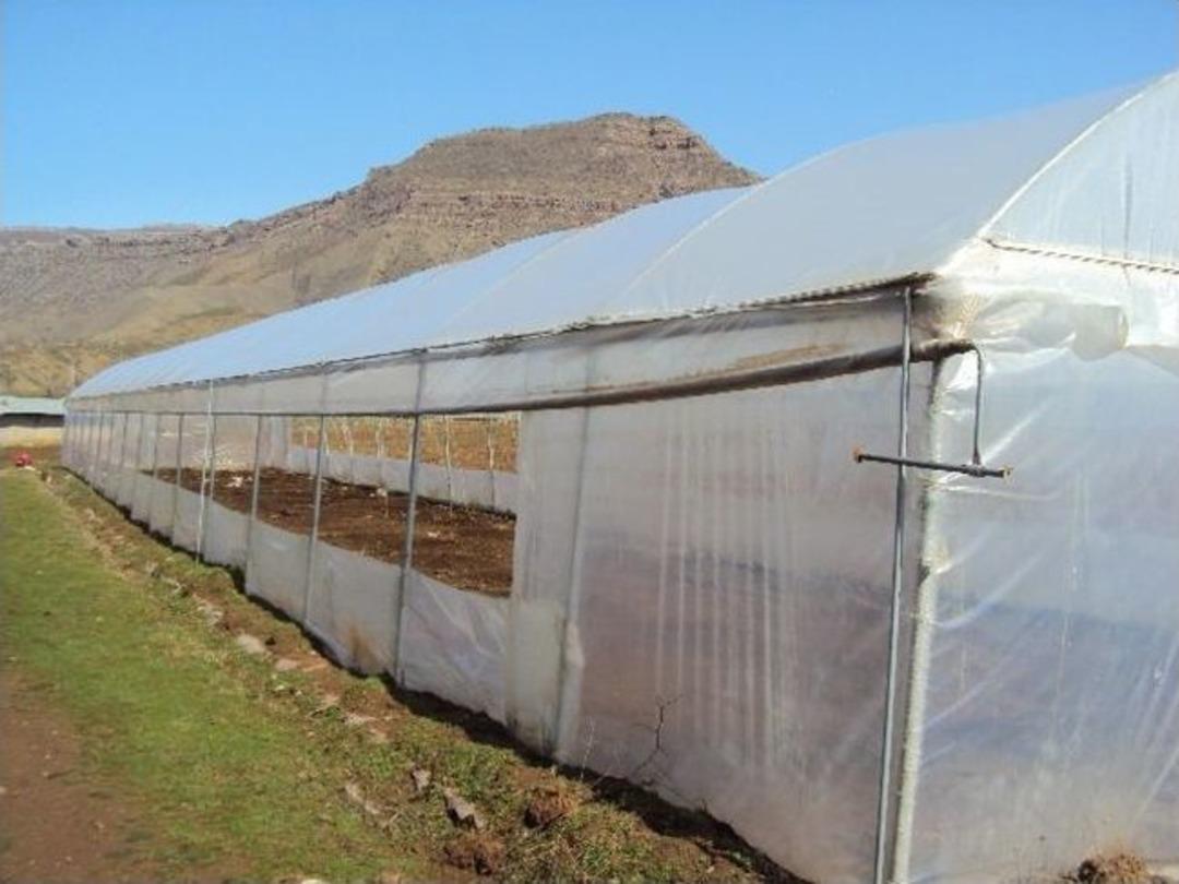 Sınırda Seracılık