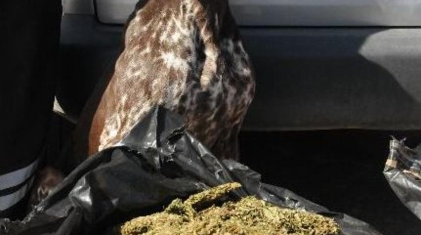 Uyuşturucu Operasyonu Kamerada