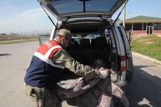 Uyuşturucu Operasyonu Kamerada 2