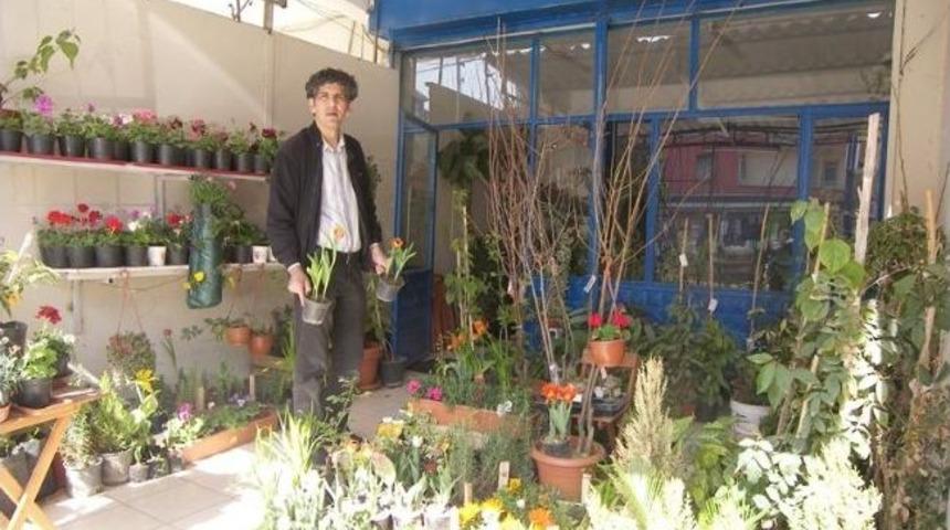 Osmanlı Laleleri, Tarsus'ta Can Buluyor