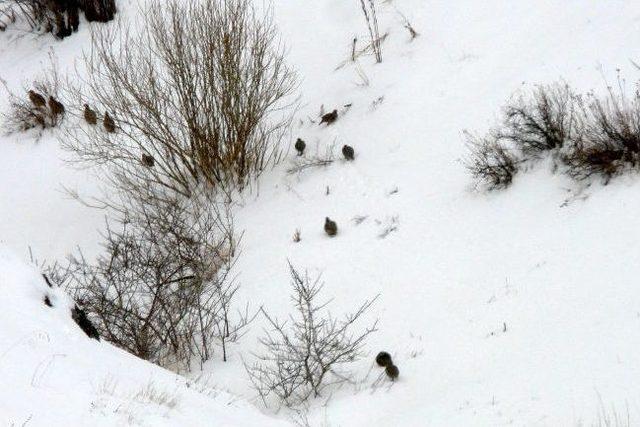 ‘kara Gün Dostu’ Projesi Sona Erdi