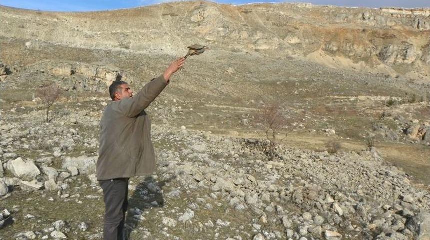 &Ccedil;emişgezekli Vatandaş Evinde Beslediği Keklikleri Doğa Bıraktı