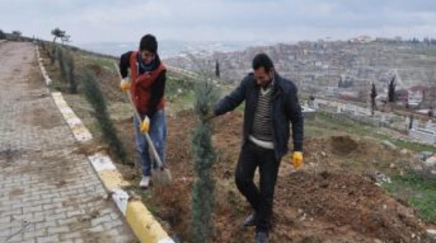 Dilovası Yeşilleniyor