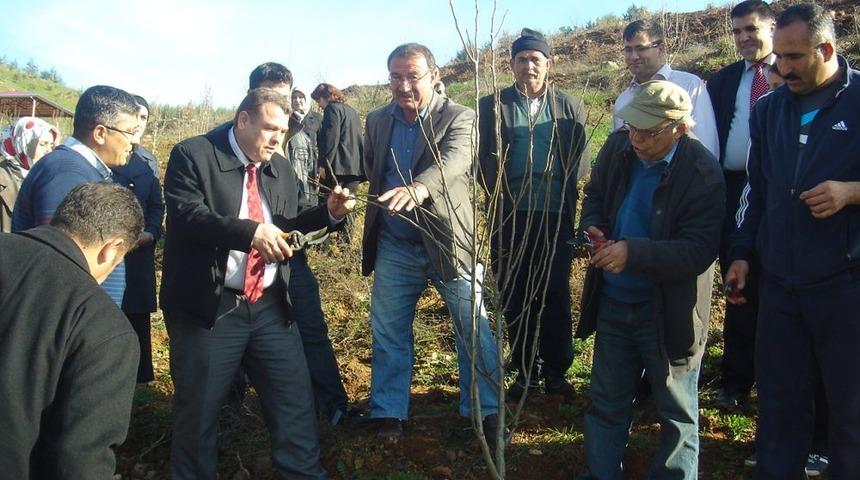 &Ccedil;ift&ccedil;ilere Meyve Budama Eğitimi Uygulamalı G&ouml;sterildi