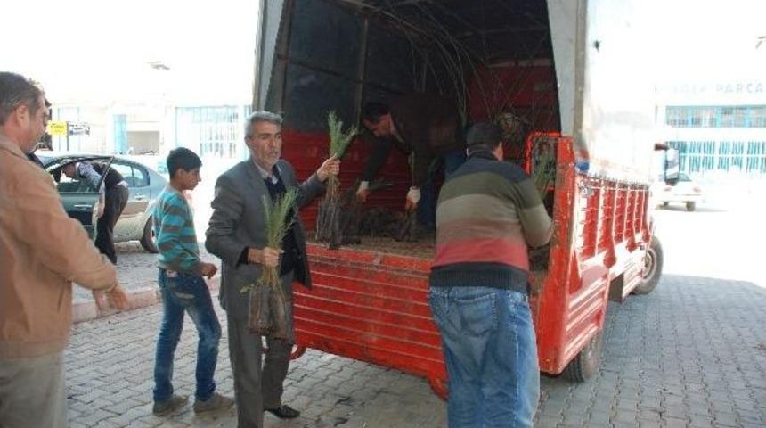 Kahta Belediyesi'nden, K&uuml;&ccedil;&uuml;k Sanayi Sitesine Fidan Yardımı
