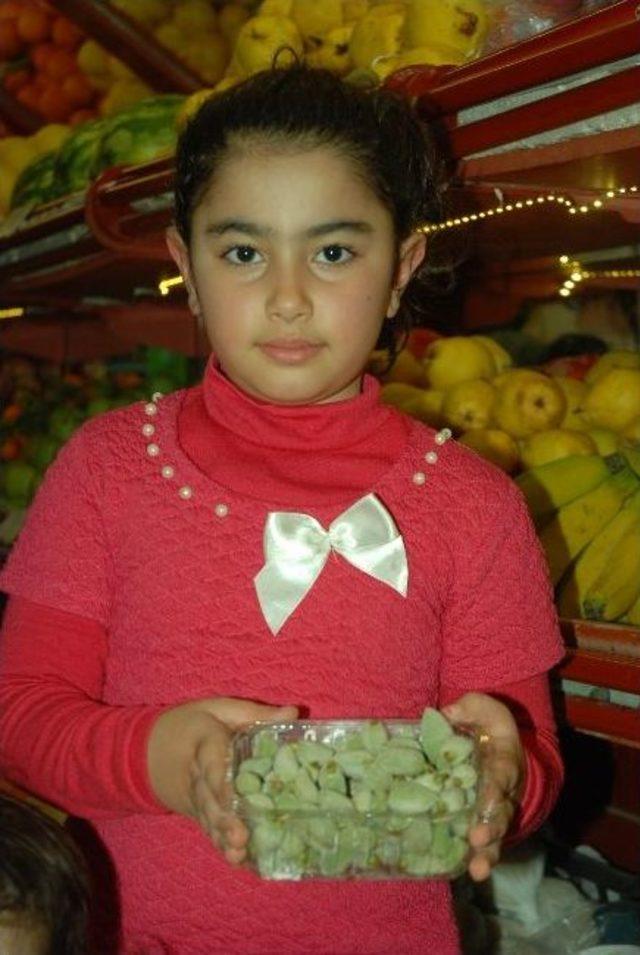 Baharın M&uuml;jdecisi &Ccedil;ağla 60 Tl&rsquo;den Satılıyor 1