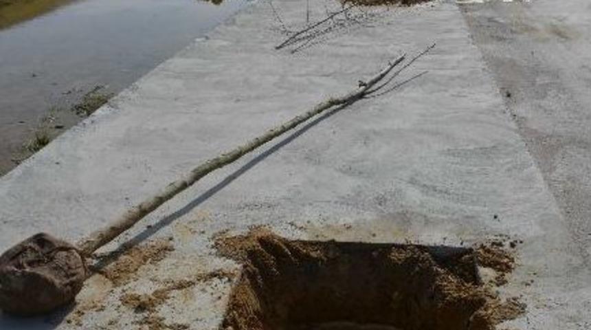 Narin Park&rsquo;tan Narin Caddesi&rsquo;ne 230 Ağa&ccedil;