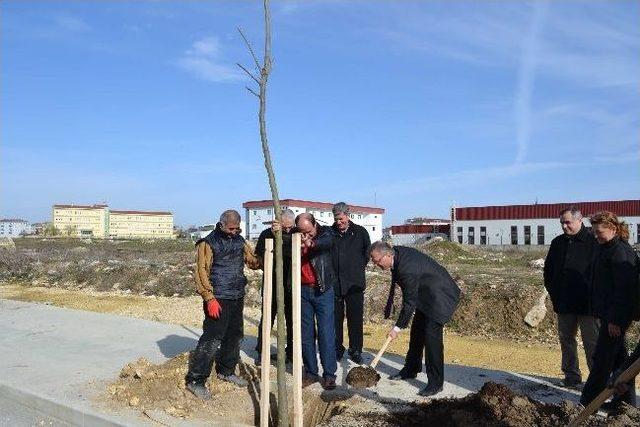 Narin Park’tan Narin Caddesi’ne 230 Ağaç