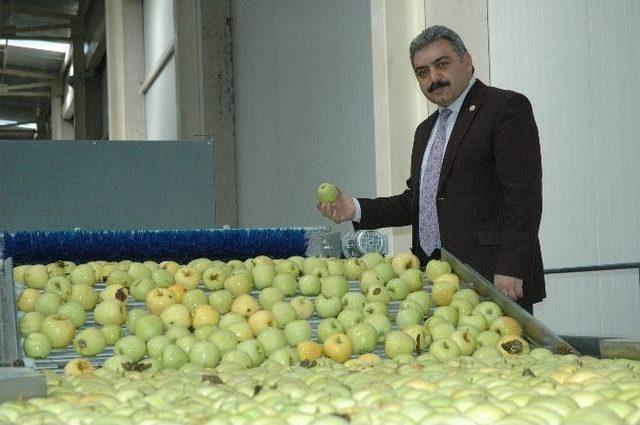 Karaman'da 40 Bin Ton Elma Soğuk Hava Deposunda Bekliyor