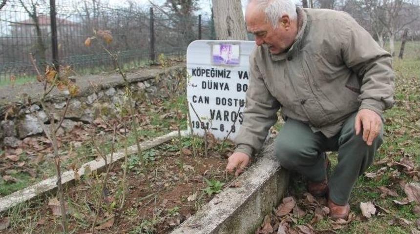 Sadık Dostu K&ouml;peği İ&ccedil;in Bah&ccedil;esine Mezar Yaptı