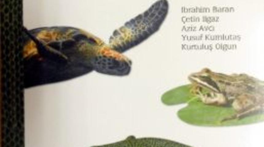 Ad&uuml;&rsquo;n&uuml;n Amfibi Ve S&uuml;r&uuml;ngen &Ccedil;alışmaları Kitaplaştı