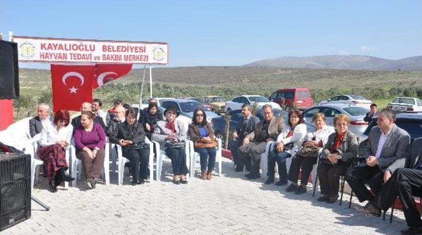 Sokak Hayvanlarına Modern Barınak