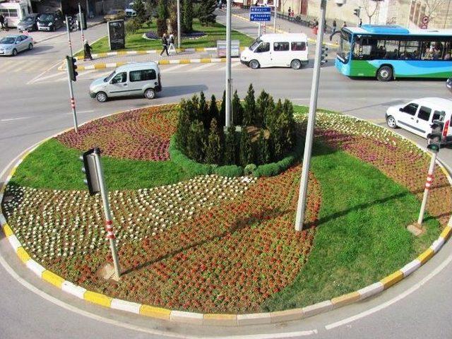 Trabzon’da Erken Bahar Çiçek Açtırdı