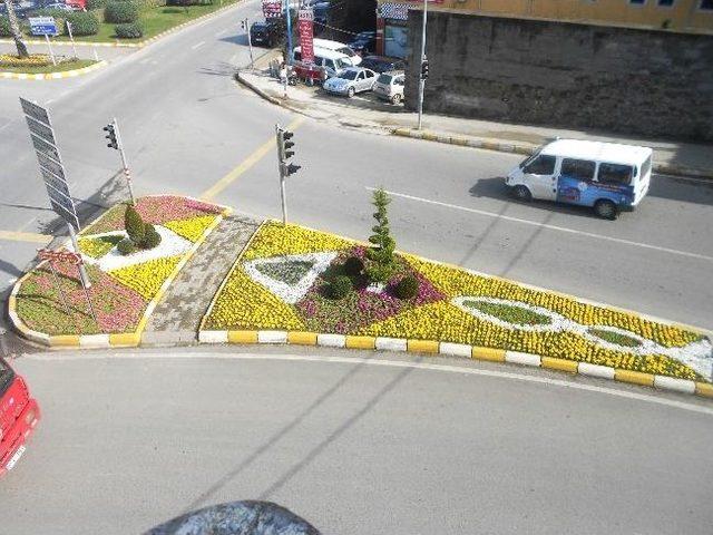 Trabzon’da Erken Bahar Çiçek Açtırdı