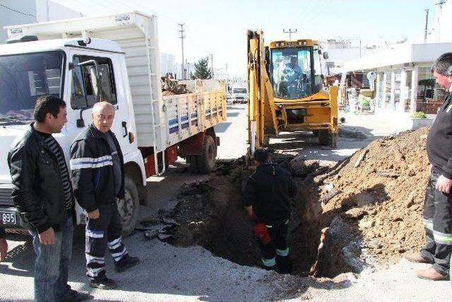 Cevat Şakir Ve Gümbet Mahallelerinde Çalışmalar Başladı