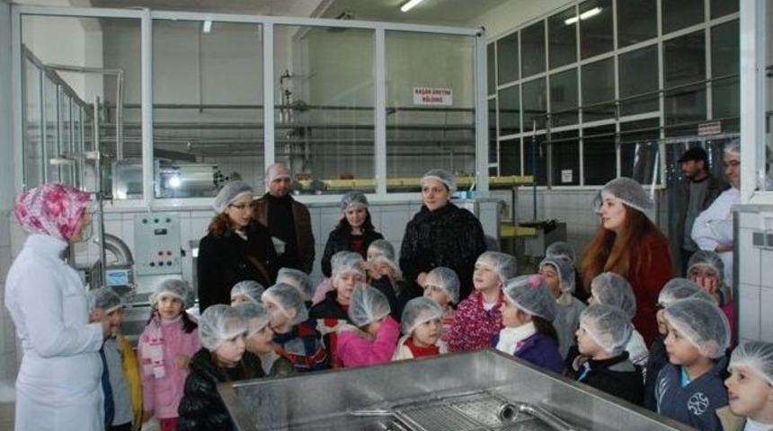 Ana Okul &Ouml;ğrencileri Hekim S&uuml;t'&uuml; Ziyaret Etti