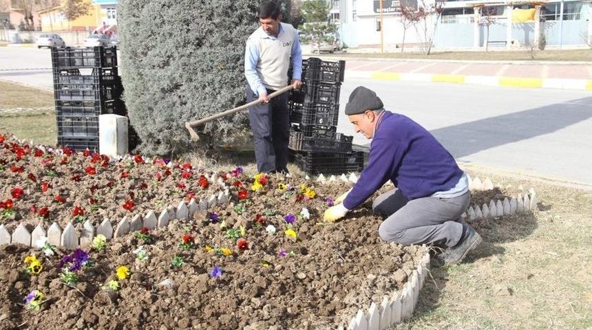 Elazığ Menekşelerle Renkleniyor