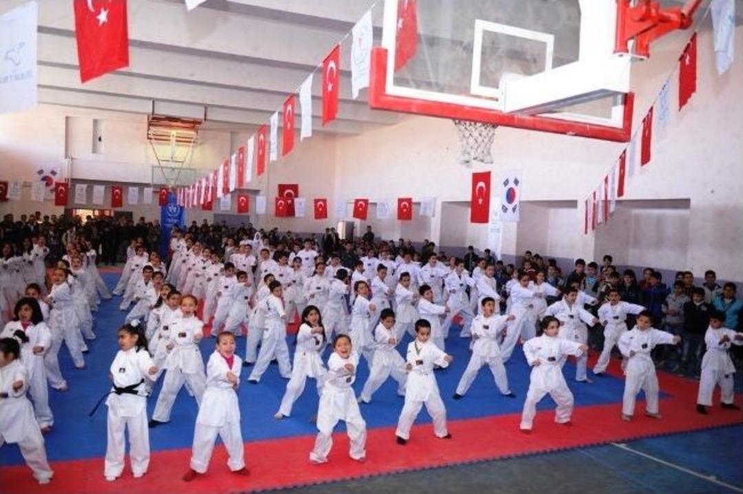 B&uuml;y&uuml;kel&ccedil;i Lee&rsquo;nin Van Ziyareti