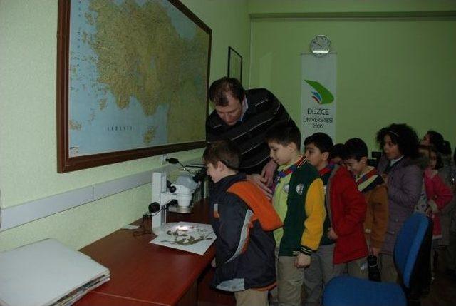 Genç İzcilerden Düzce Üniversitesi Orman Fakültesine Ziyaret