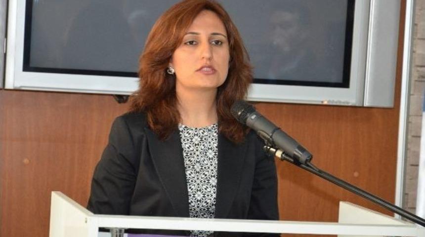 Karacadağ Kalkınma Ajansı, Viranşehir'de &Ccedil;alıştay D&uuml;zenledi