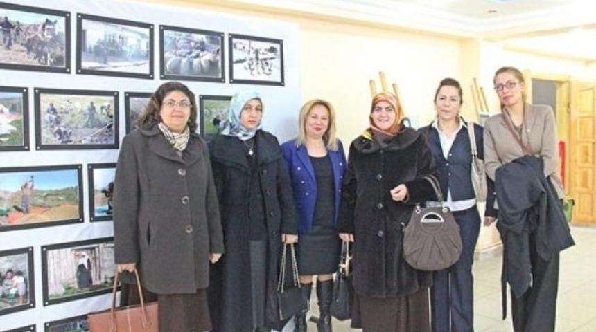 Ardahan Belediyesi'nce A&ccedil;ılan Fotoğraf Sergisine Yoğun İlgi