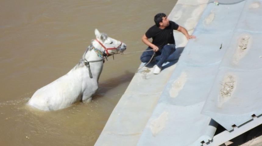 Asi Nehri'ne D&uuml;şen At, 1 Saat S&uuml;ren Operasyonla Kurtarıldı