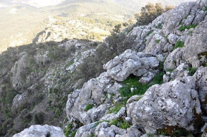 2 Gündür Kayıp Gencin Parçalanmış Cesedi Bulundu G2