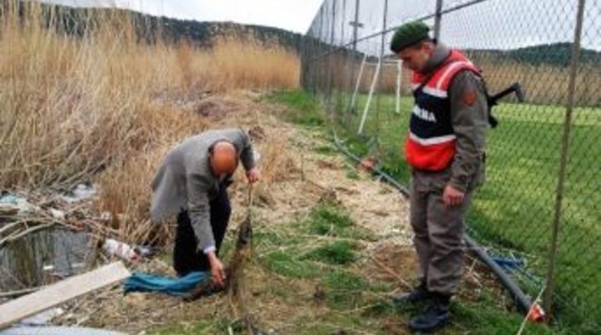 İ&ccedil; Sularda Balık Avı Yasağı Başlıyor