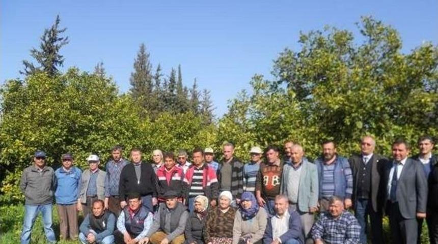 Dalaman&rsquo;da Narenciyede Budama Eğitimi