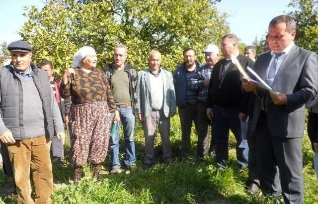 Dalaman’da Narenciyede Budama Eğitimi