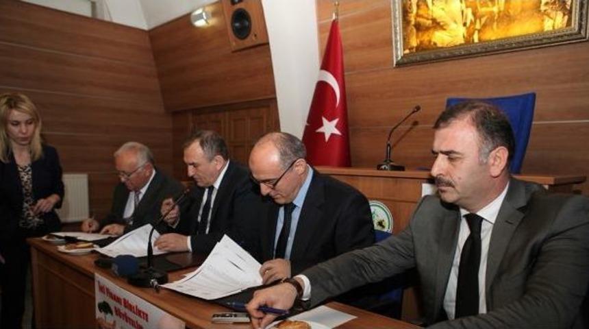 Bolu&rsquo;da Doğan Her Bebeğin Adı Fidanlara Verilecek