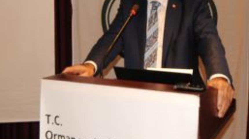 Bakan Eroğlu’ndan, Trabzon’a 248 Milyonluk Yatırım Müjdesi