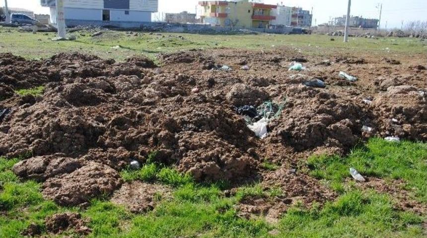 Siverek Belediyesi Hayvan Atıklarını Dışarı Atanlara Ceza Uygulamaya Başladı