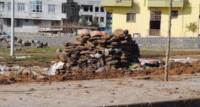 Siverek Belediyesi Hayvan Atıklarını Dışarı Atanlara Ceza Uygulamaya Başladı