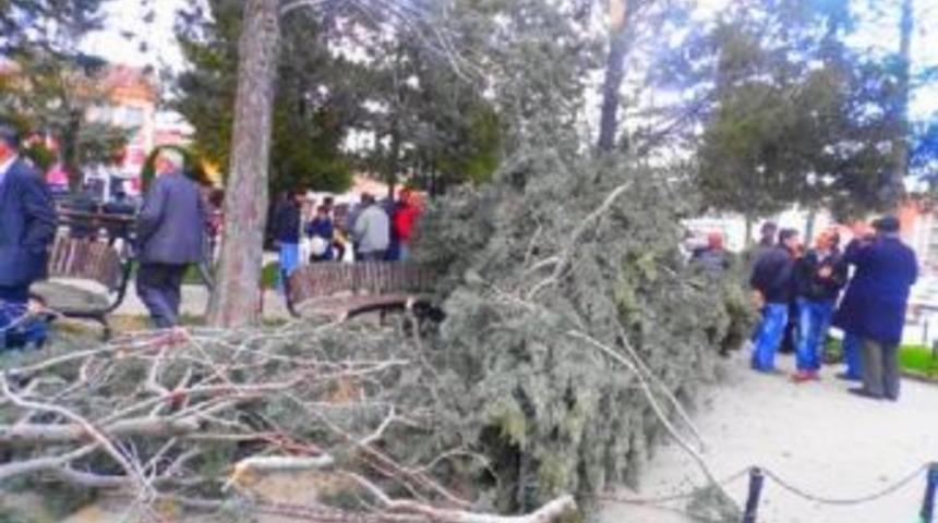 Fırtınadan kopan ağa&ccedil; dalları &uuml;zerlerine d&uuml;şt&uuml;