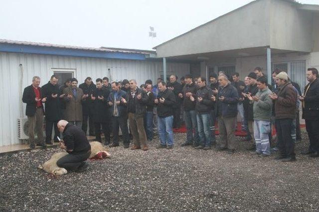 Mesaiye Kurban Keserek Başladılar