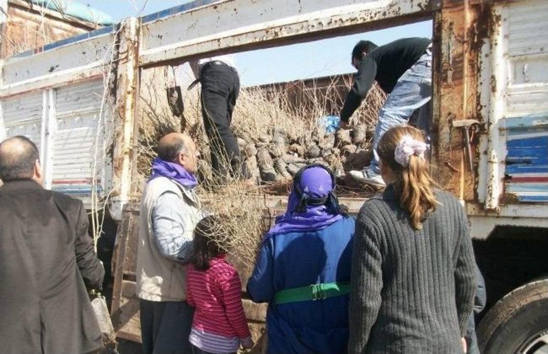 Yeşil Bir Siverek İ&ccedil;in &Ccedil;alışmalar Devam Ediyor