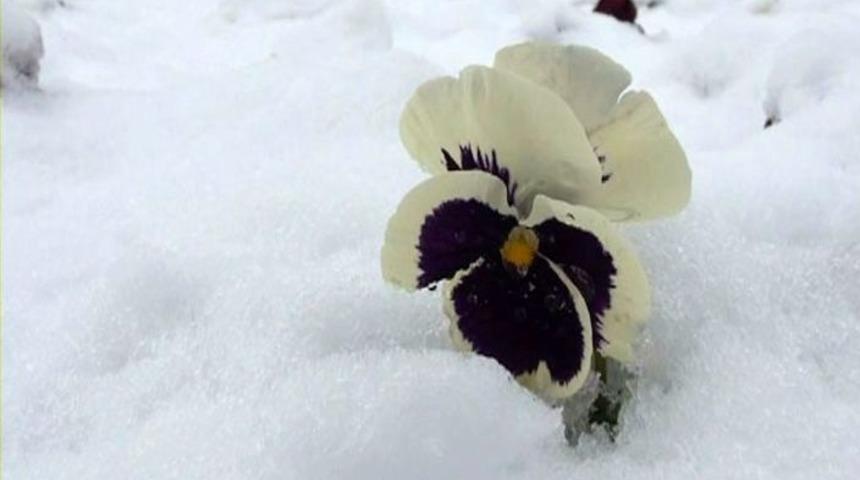 Erzincanlılar G&uuml;ne Karla Uyandı