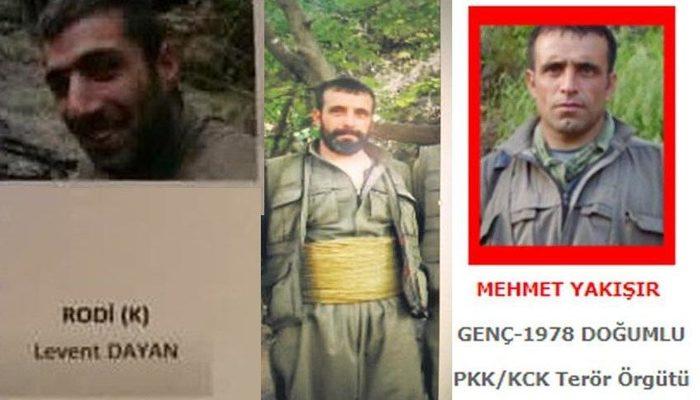 minister noble announced eren bulbul the so called black sea officer of the pkk was killed