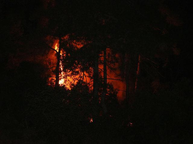Kemer'de orman yangını 1 saatlik çalışmayla söndürüldü