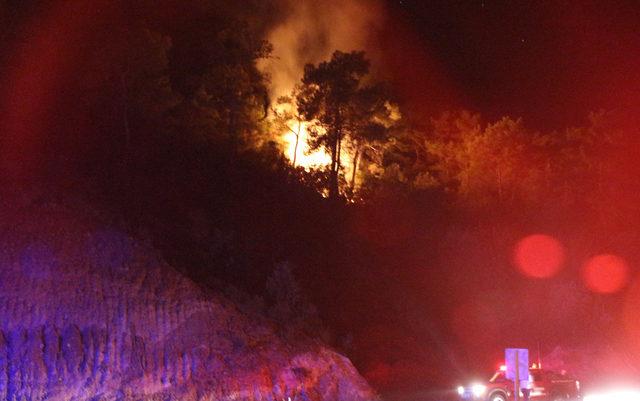Kemer'de orman yangını 1 saatlik çalışmayla söndürüldü