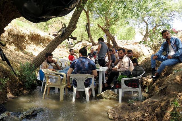 Afrin özgürleşti, Suriyeliler 5 yıl sonra piknik yaptı