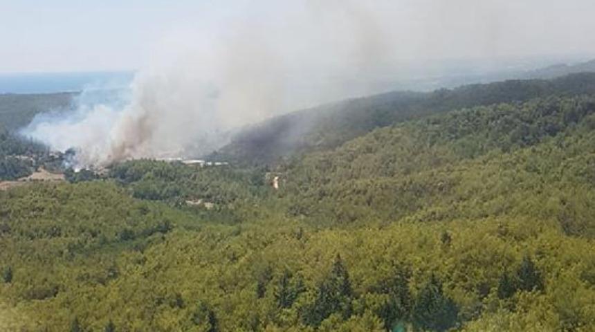Manavgat ve Torbalı'da orman yangını 