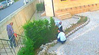 Sakarya'nın Serdivan ilçesinde ağaç katliamı! Cemaat namazdayken yaptılar