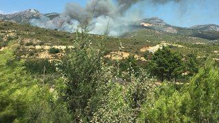GÜNCELLEME - Mersin'de orman yangını