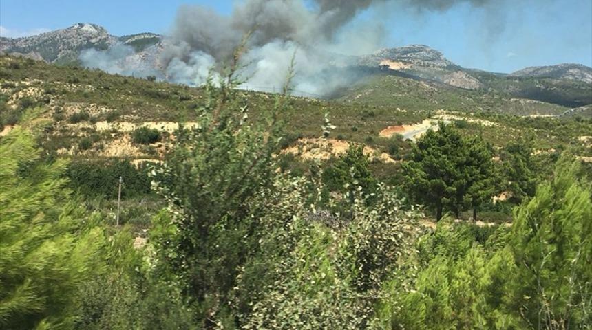 GÜNCELLEME - Mersin'de orman yangını