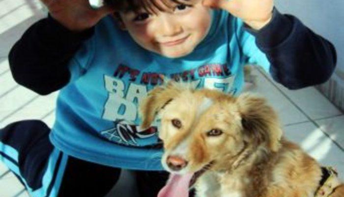 Minik Ali Utku, yaşam savaşını kaybetti - Adana Haberleri