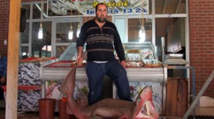 Silifke'de 4 Metrelik K&ouml;pekbalığı Yakalandı